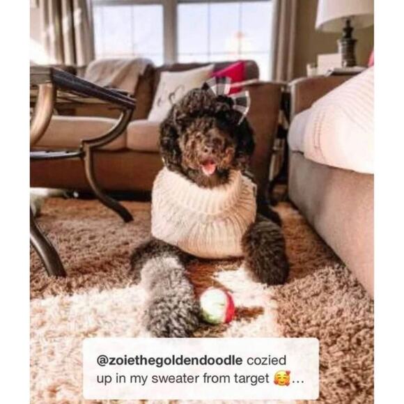 NEW Dog PET SWEATER & HAT OUTFIT SET Medium Cream Knit Boots & Barkley 2pc Set - Picture 9 of 10